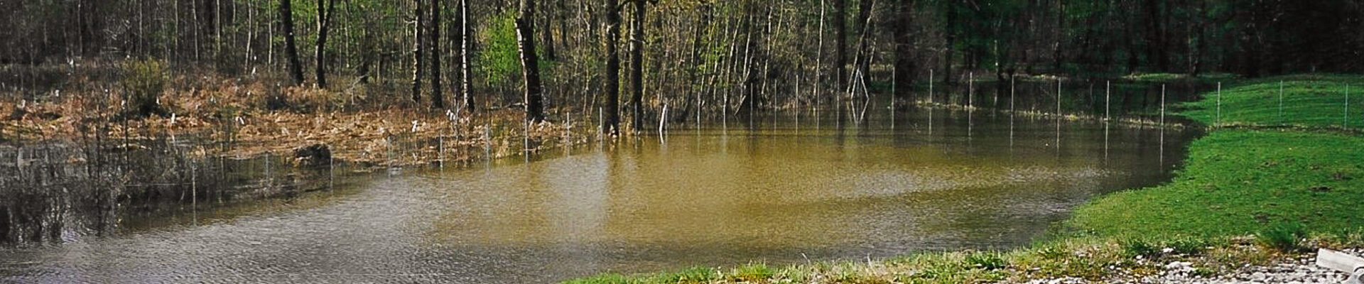 Foto_2026-01-19_151511 (2).jpg