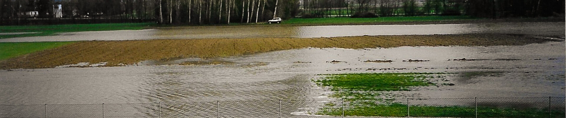 Foto_2026-01-19_161332 (9).jpg